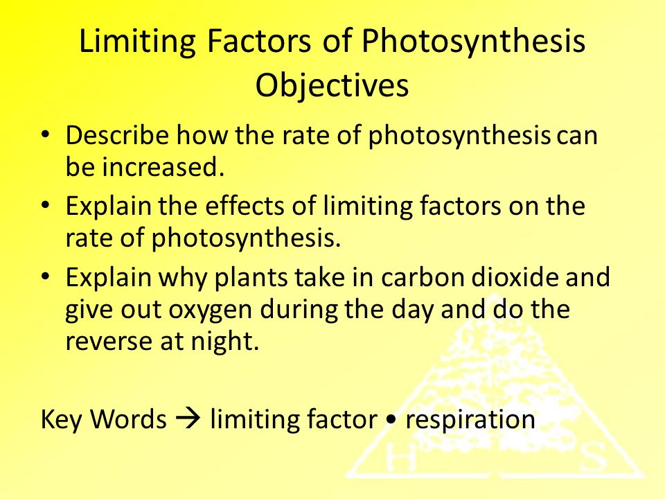 Photosynthesis - AQA